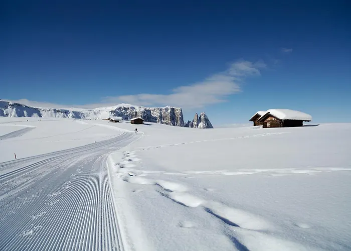 Adler Alpe