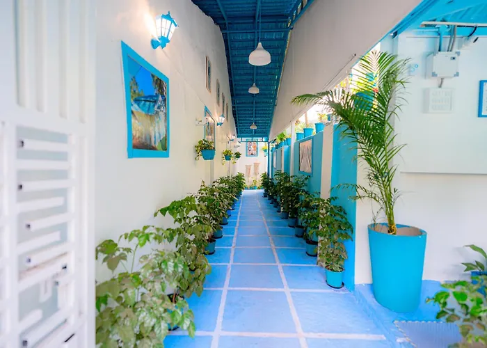 Vllk Resort Near Arambol Beach North Goa