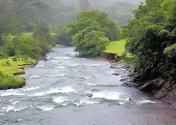 Wildernest Nature Resort