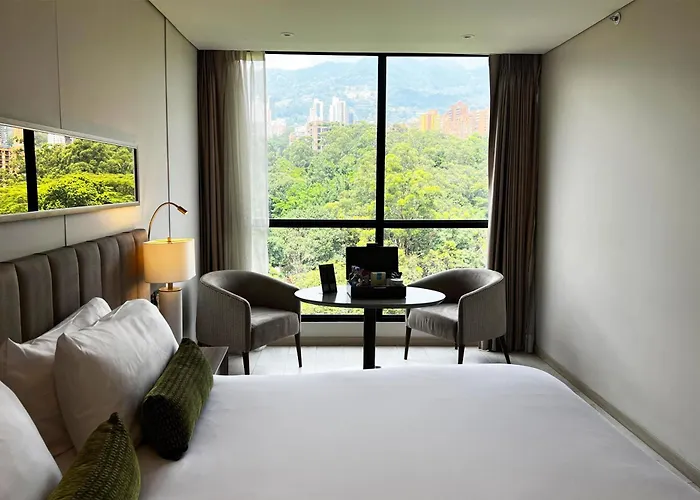 York Medellin, Curio Collection By Hilton