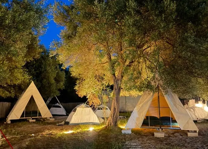 Borsh Olive Camping