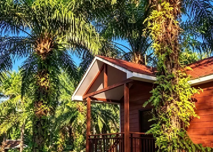 仙本那棕榈湖度假村palm Lake Resort