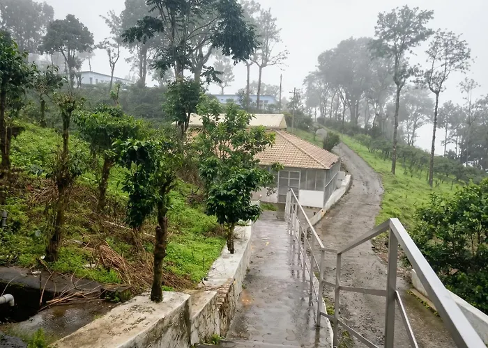 Spka Jungle Resort