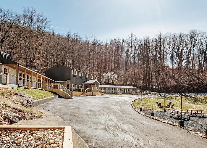 Grey Pine Lodge