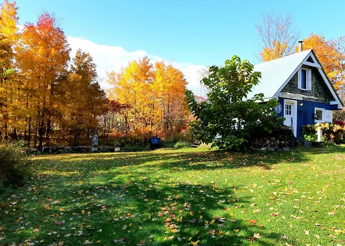 Longview Spectacular Forest Views On 88 Acres