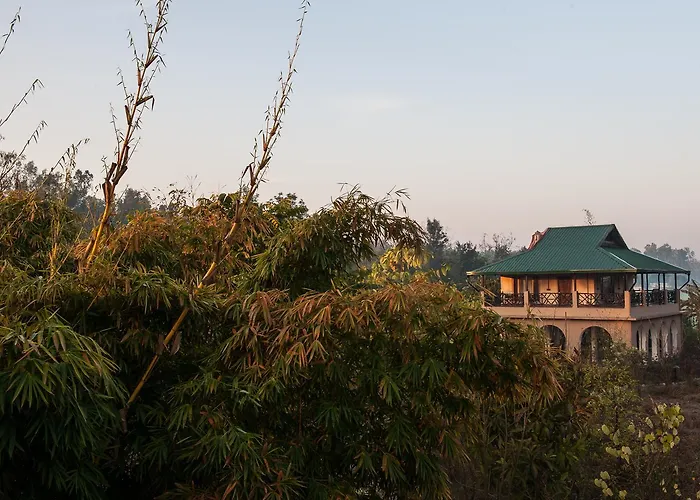 Jim'S Jungle Retreat