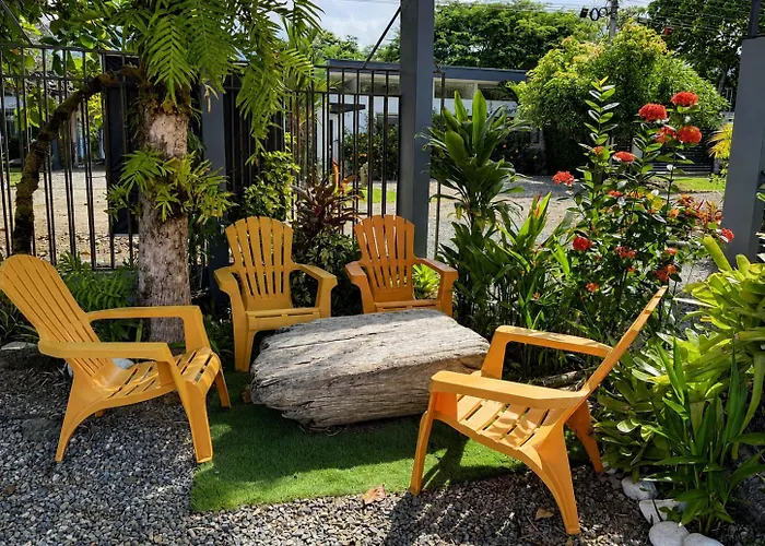 Rooms & Pool Macaws