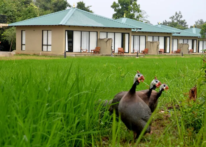 Sigiriya King'S Resort