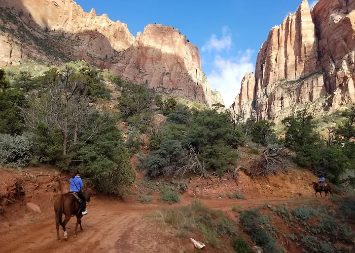 Zion'S Most Wanted Hotel