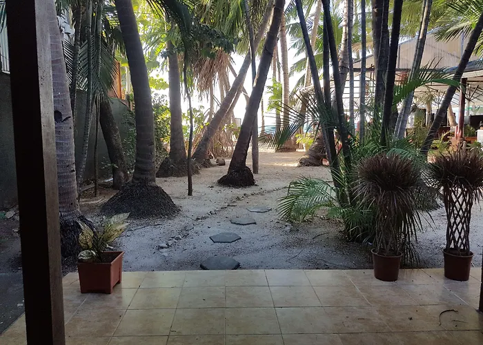 Hotel La Palapa