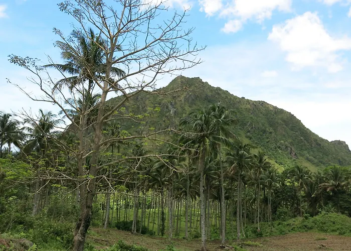 Camiguin Volcan Beach Eco Retreat & Dive Resort