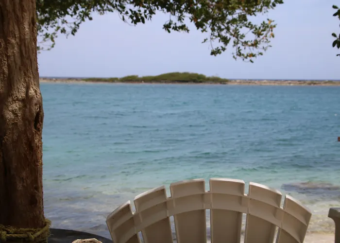 Coral Reef Beach