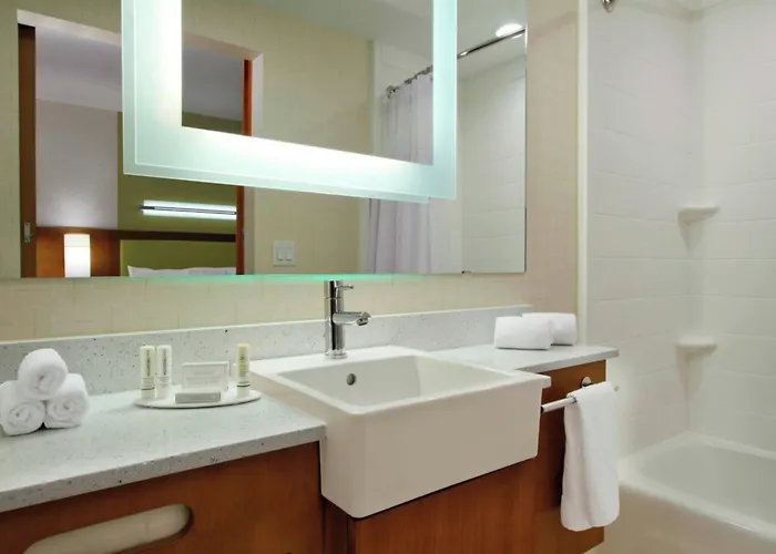 Springhill Suites By Marriott Houston I-45 North