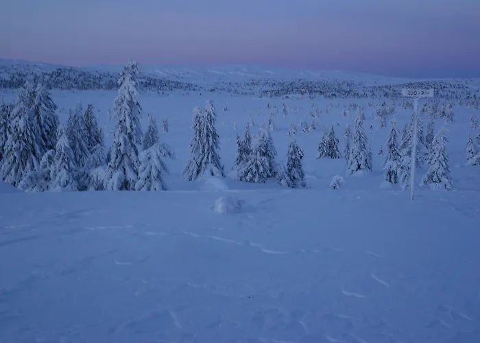 Lillehammer Fjellstue Og Hytteutleie