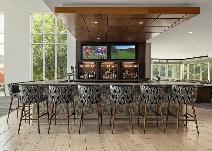 Springhill Suites By Marriott Roanoke