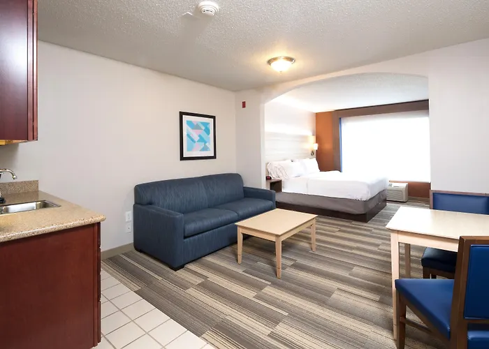Holiday Inn Express Hotel & Suites Grand Blanc By Ihg