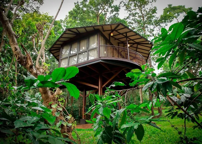 Pugmarks Jungle Resort