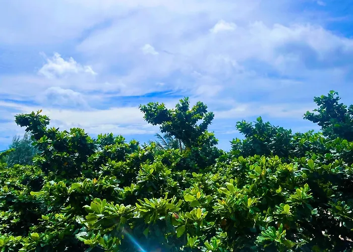 Con Dao Resort