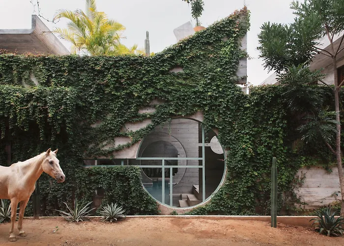 Casa To - Adults Only
