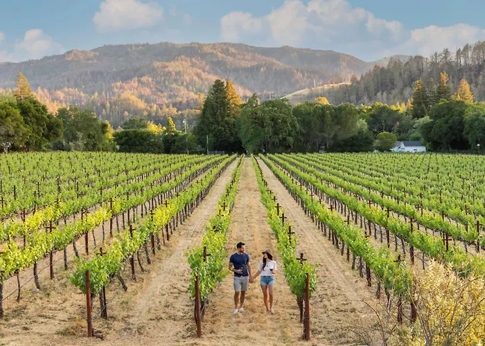 Alila Napa Valley, A Hyatt Resort