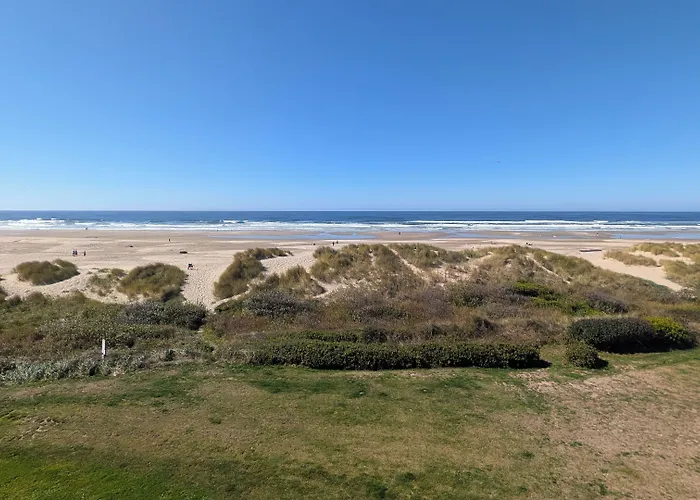 Driftwood Shores Resort