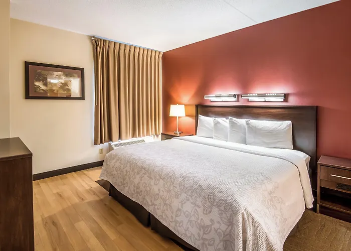 Red Roof Inn Plus+ South Deerfield - Amherst