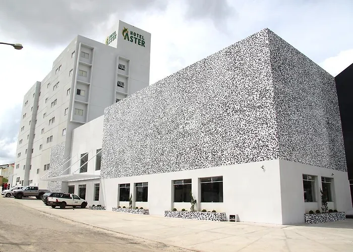 Hotel Aster