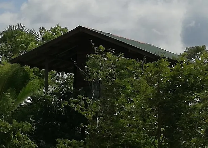 Sigiri Forest View