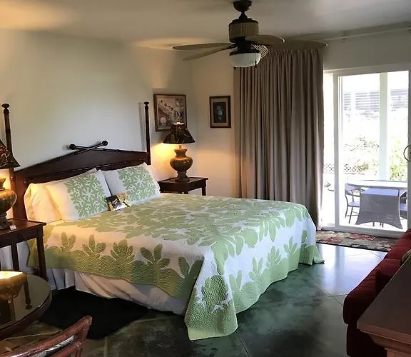 Hale Pua Villa - Seaside Studio