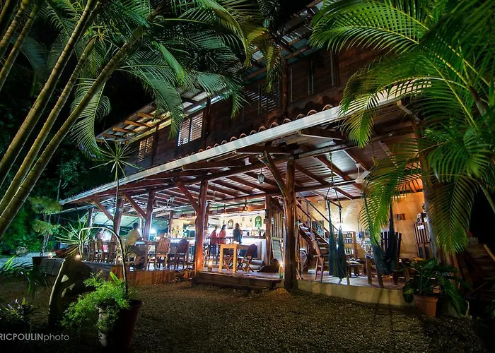Funky Monkey Lodge