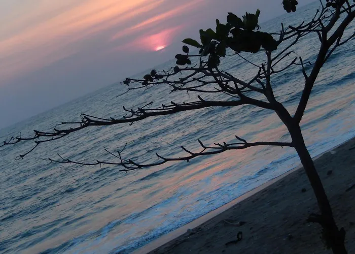 Sealine Beach Resorts