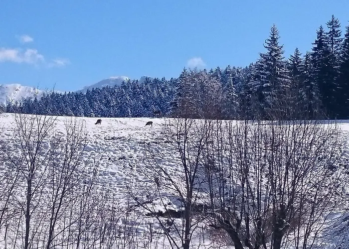 La Ferme du Bois Barbu