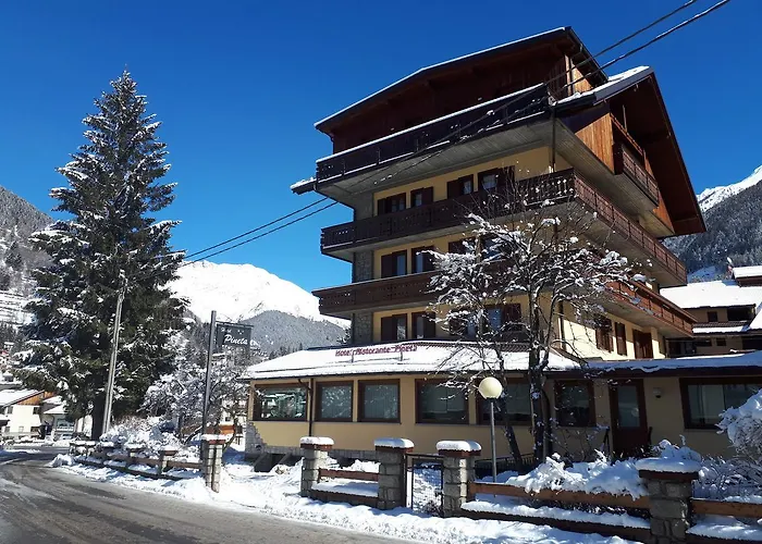 Hotel Pineta