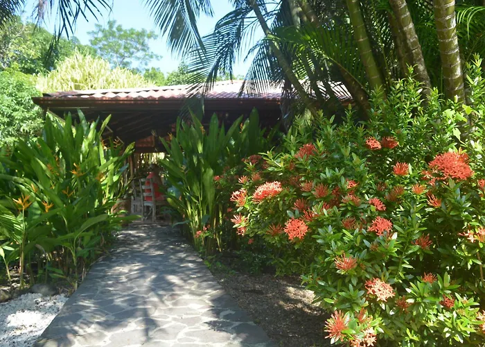 Indigo Yoga Surf Resort