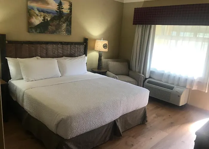 The Appy Lodge