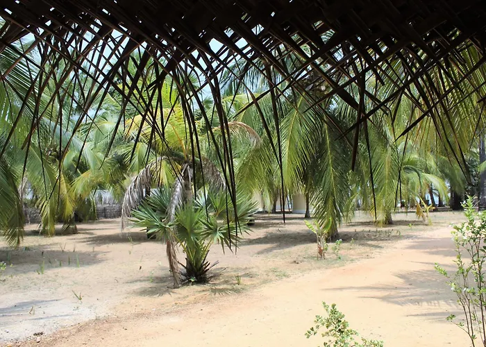 Anawasal