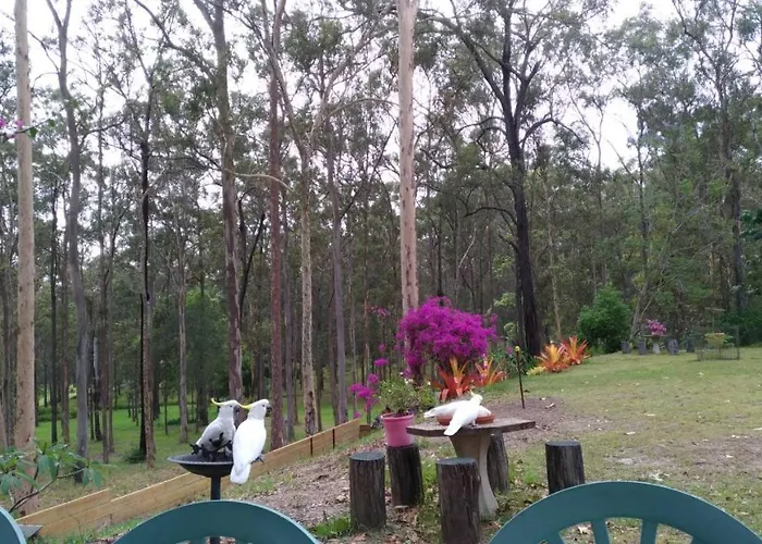 Springwood Meditation Centre 春木禪修渡假中心