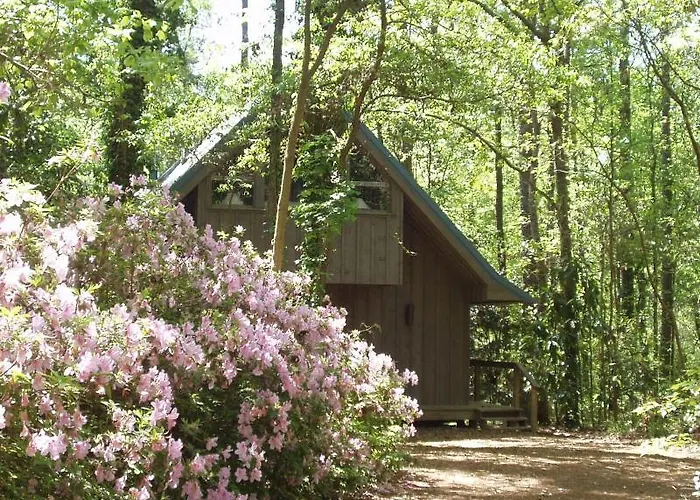 The Guest House