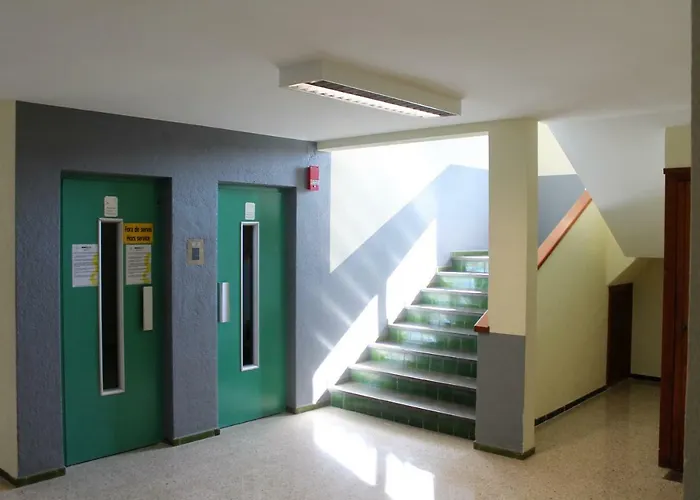 Absolute Apartment