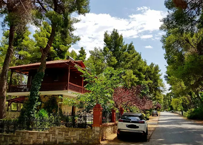 Wood And Stone Villa
