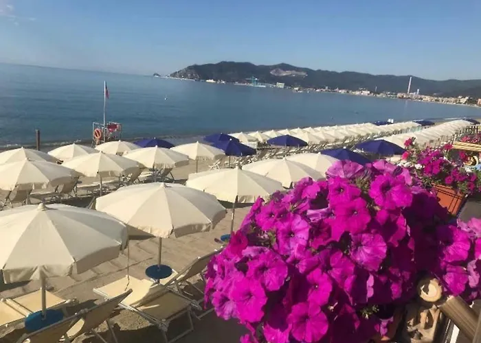 Violamare