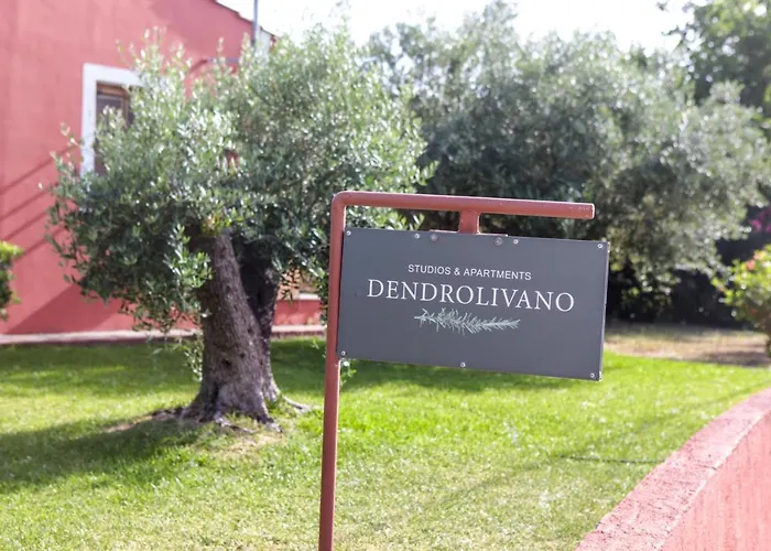 Dendrolivano