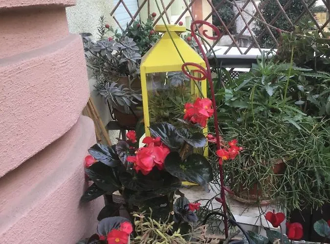 Residenza Il Magnifico Guest House Roma