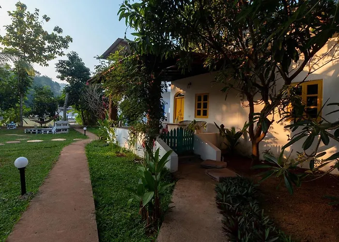 The Hammock Goa